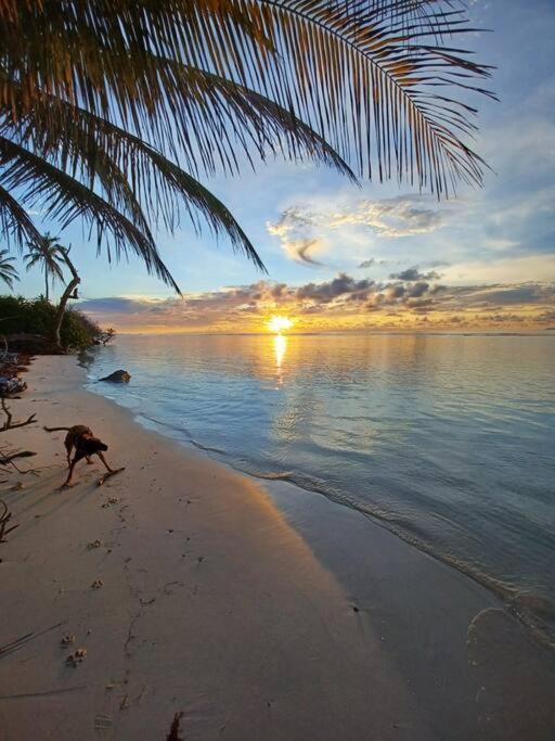 Bungalow Atypique Ti Bambou A 500M De La Plage แซนต์-อาน ภายนอก รูปภาพ