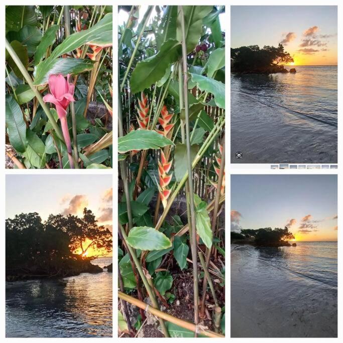 Bungalow Atypique Ti Bambou A 500M De La Plage แซนต์-อาน ภายนอก รูปภาพ